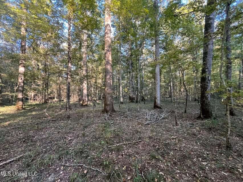 Great Hunting Tract in Bolton, MS for Sale
