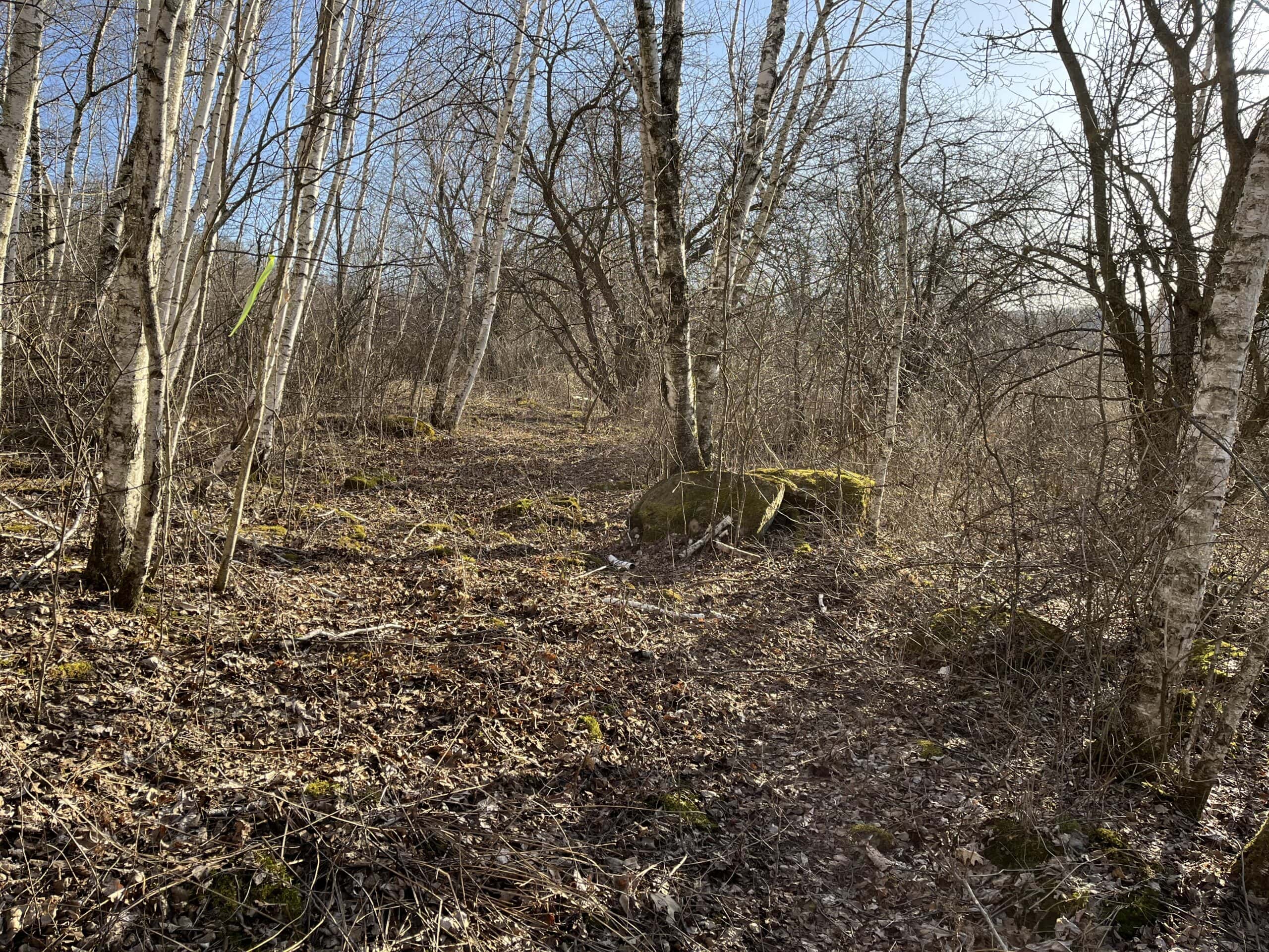 32 Acres with Endless Possibilities in Monroe County WI