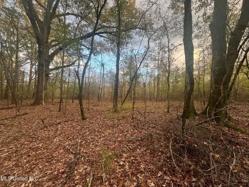 100 Acres of Prime Development or Country Homesite