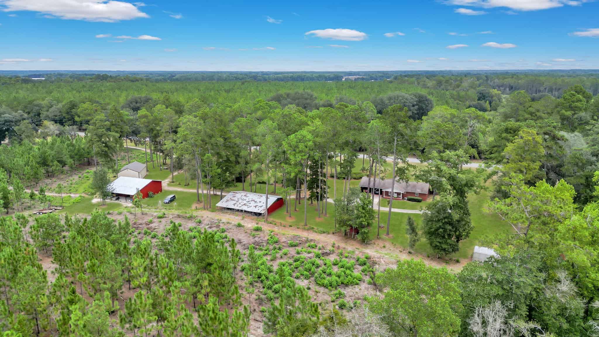 Woodpecker Trail Olive Farm for Sale