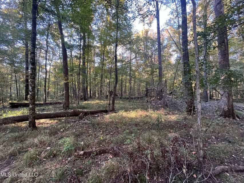 Great Hunting Tract in Bolton, MS for Sale