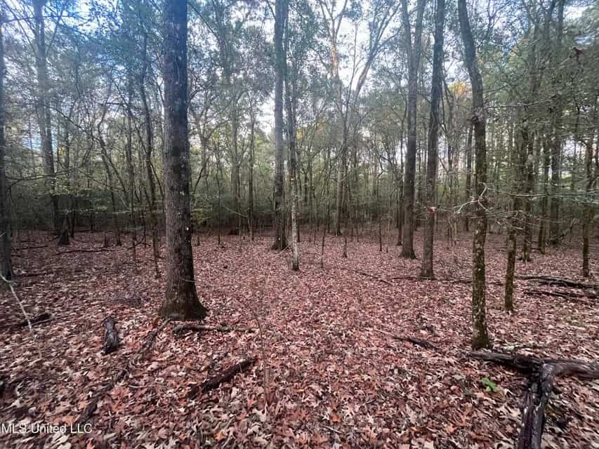 100 Acres of Prime Development or Country Homesite