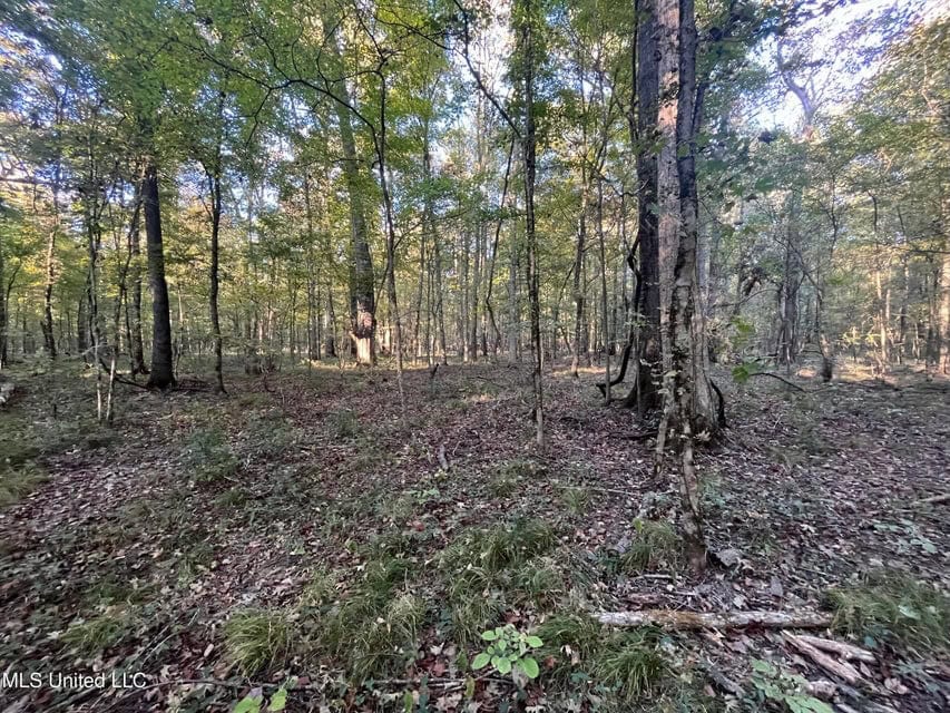 Great Hunting Tract in Bolton, MS for Sale