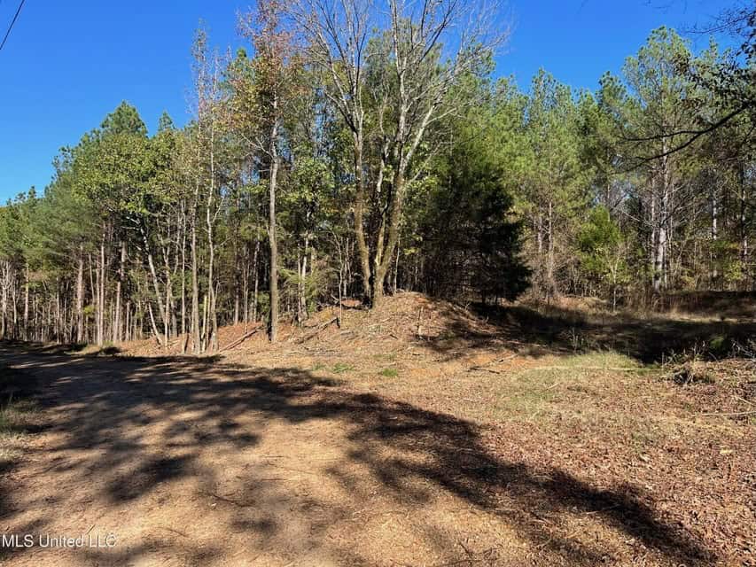 Carver Point Timber Tract in Grenada Co at Grenada Lake