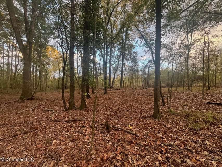 100 Acres of Prime Development or Country Homesite