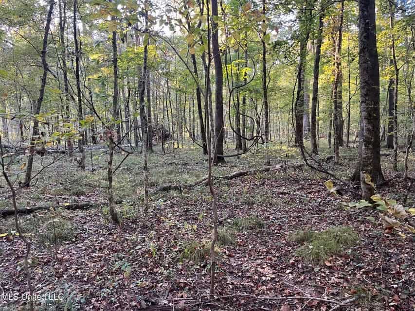 Great Hunting Tract in Bolton, MS for Sale