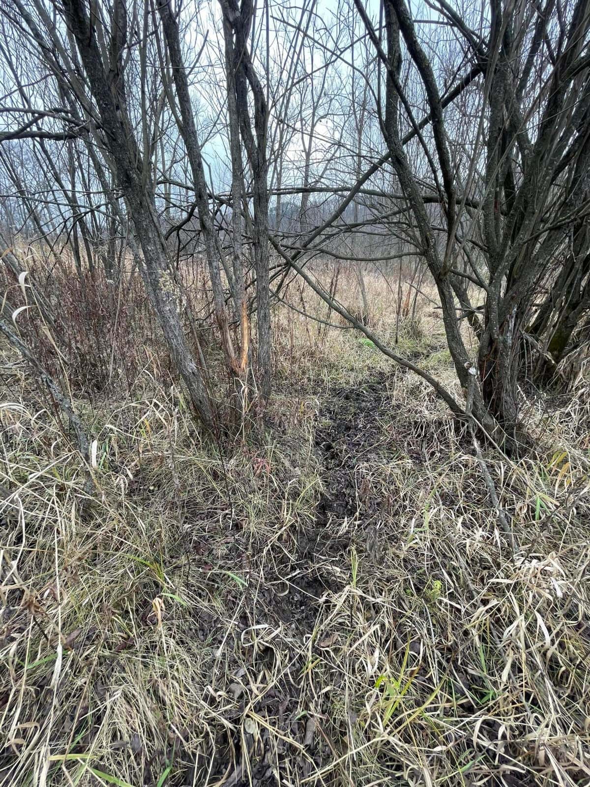 Monroe County Hunting Property 44+/- Acres