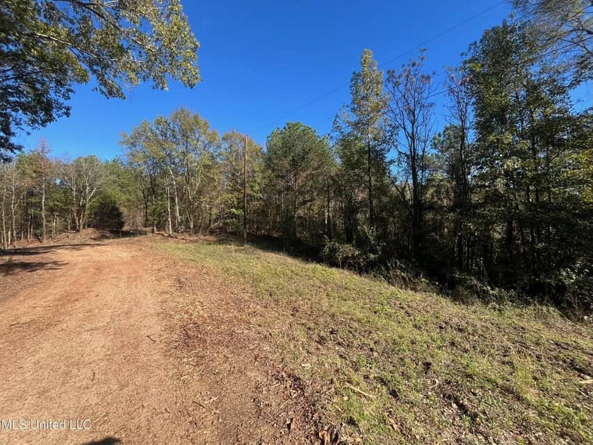 Carver Point Timber Tract in Grenada Co at Grenada Lake