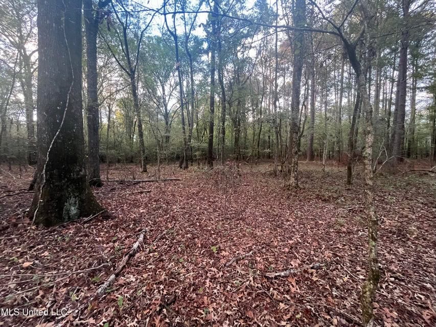 100 Acres of Prime Development or Country Homesite