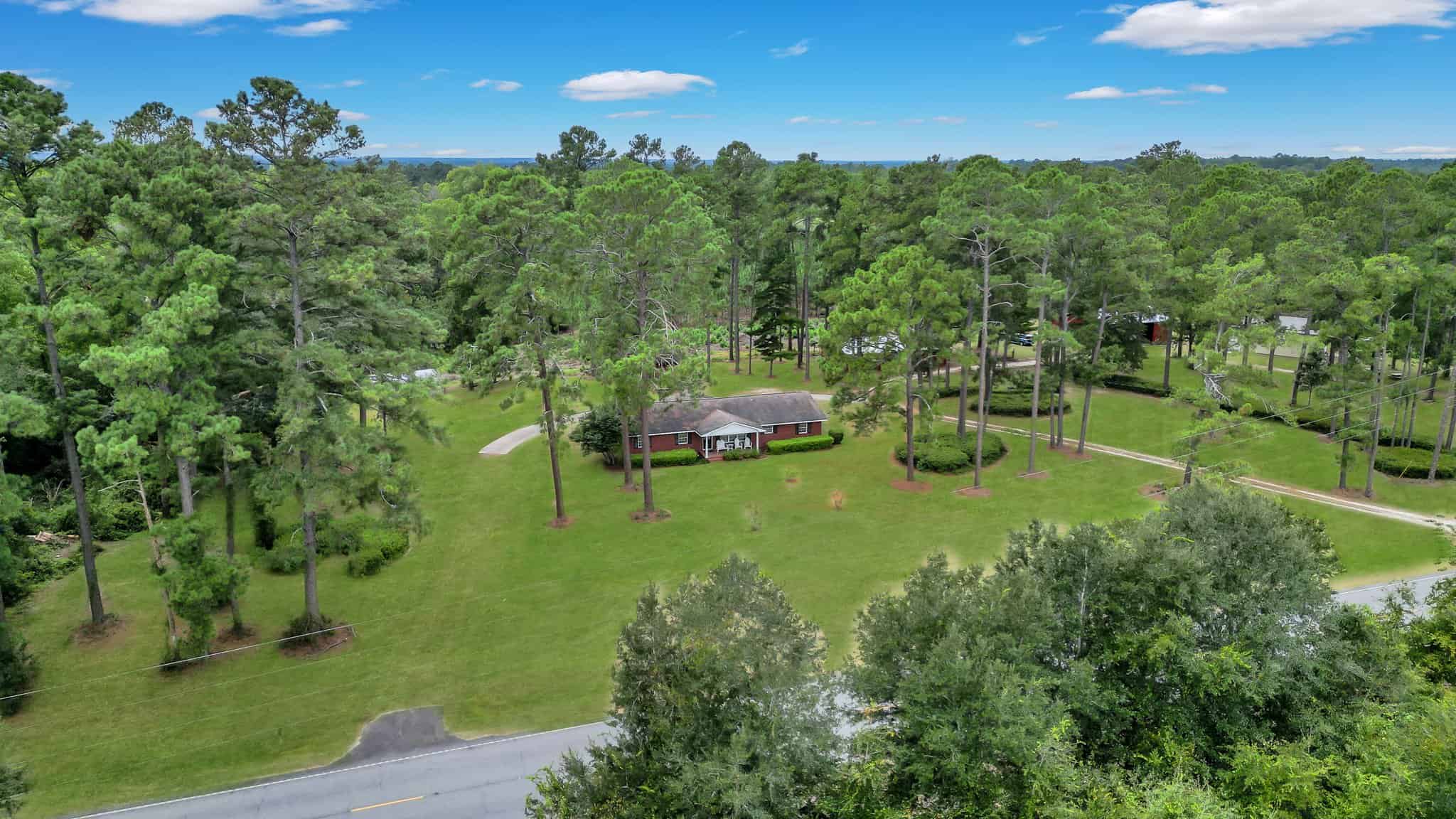 Woodpecker Trail Olive Farm for Sale