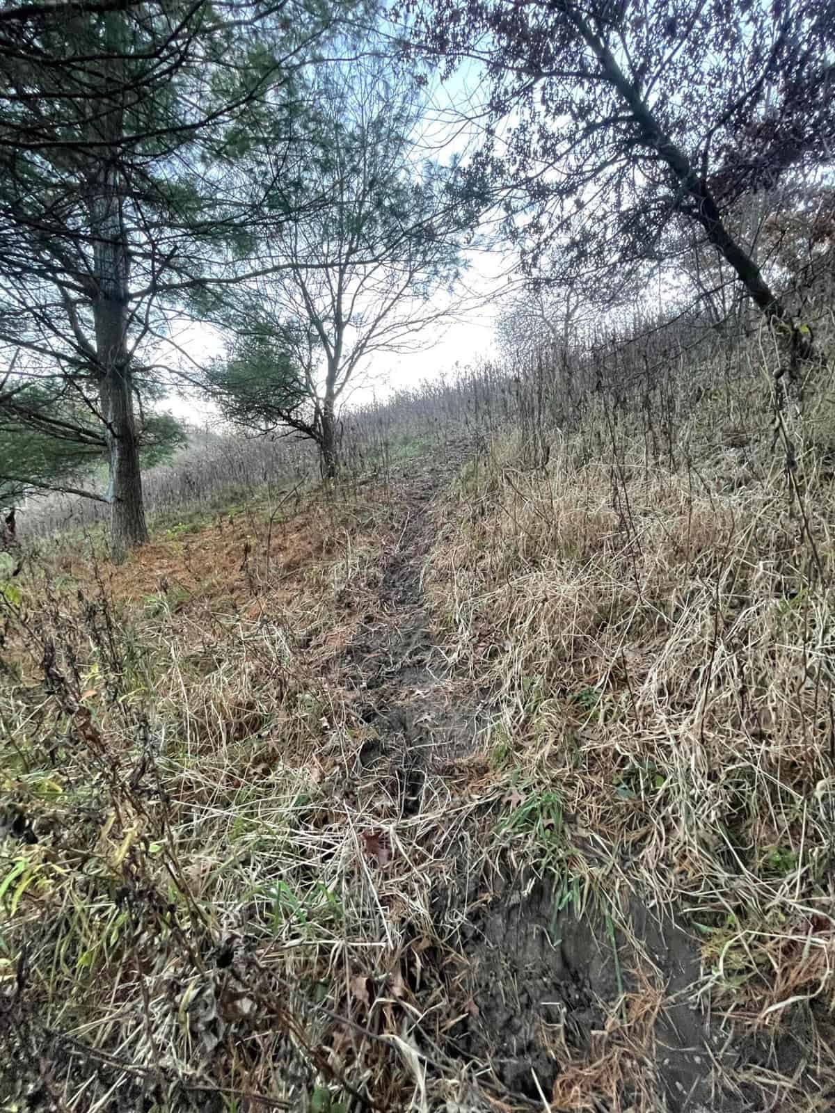 Monroe County Hunting Property 44+/- Acres