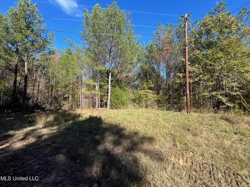Carver Point Timber Tract in Grenada Co at Grenada Lake