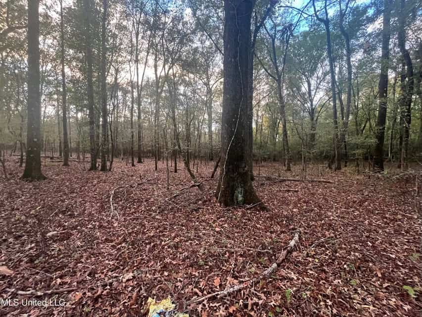 100 Acres of Prime Development or Country Homesite