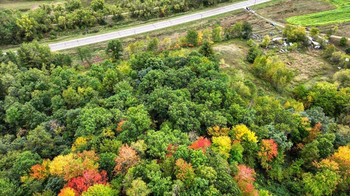 Monroe County Hunting Property 44+/- Acres