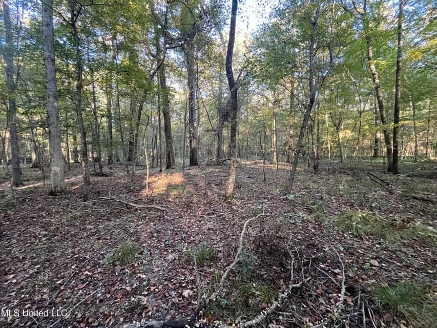 Great Hunting Tract in Bolton, MS for Sale