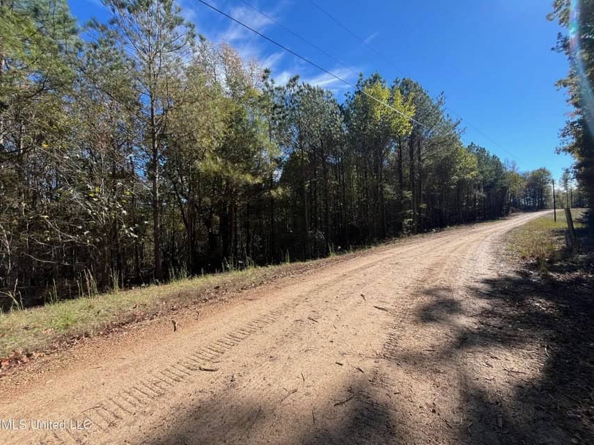 Carver Point Timber Tract in Grenada Co at Grenada Lake