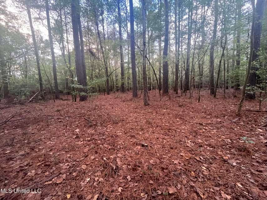 100 Acres of Prime Development or Country Homesite