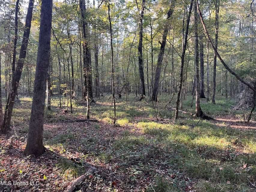 Great Hunting Tract in Bolton, MS for Sale
