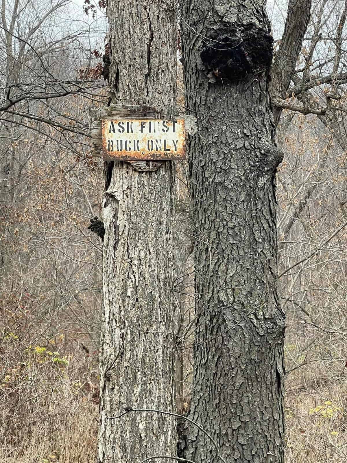 Monroe County Hunting Property 44+/- Acres