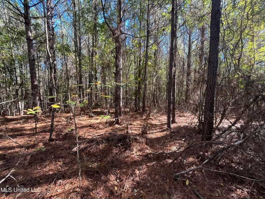 Carver Point Timber Tract in Grenada Co at Grenada Lake