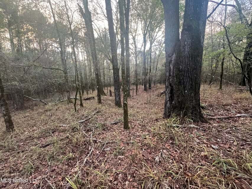 100 Acres of Prime Development or Country Homesite