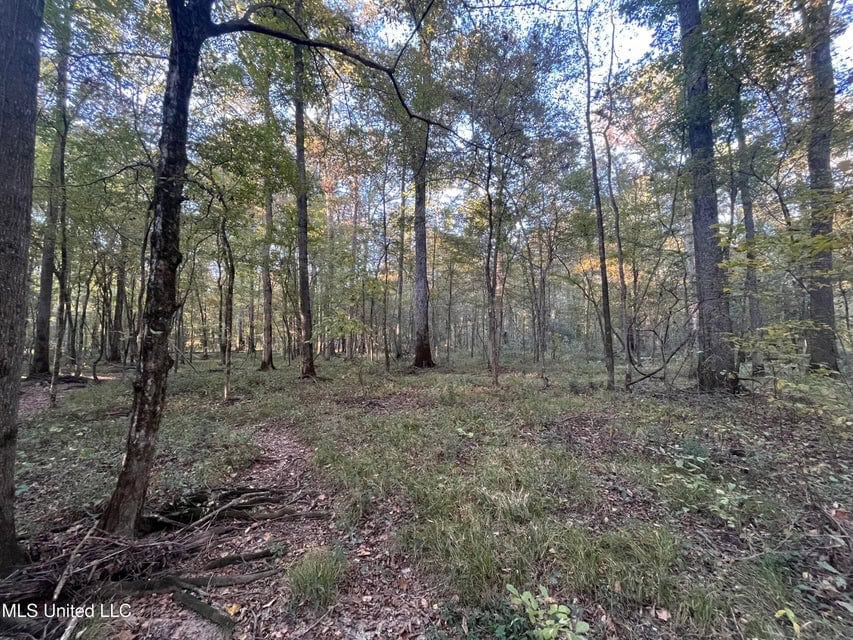 Great Hunting Tract in Bolton, MS for Sale