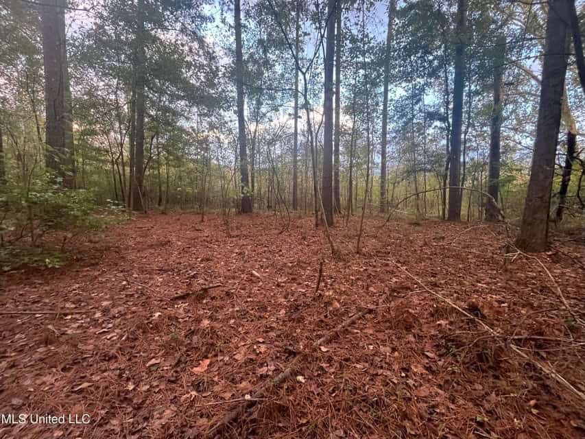 100 Acres of Prime Development or Country Homesite