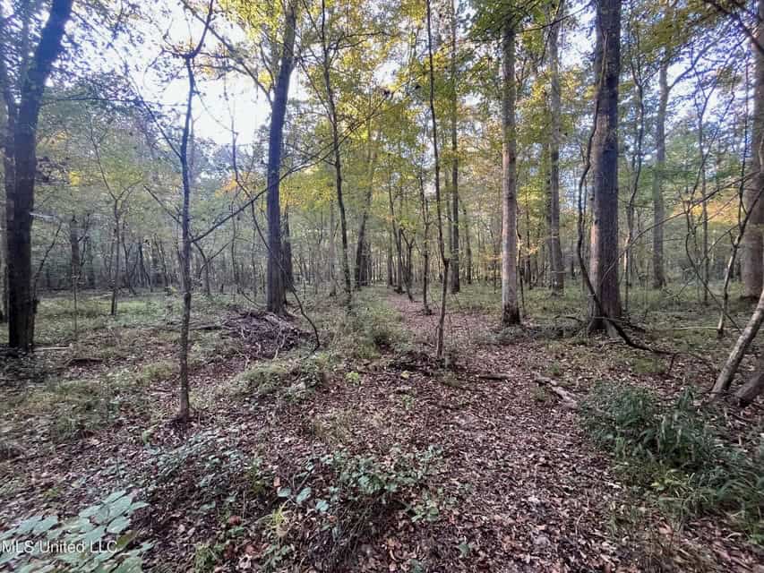 Great Hunting Tract in Bolton, MS for Sale