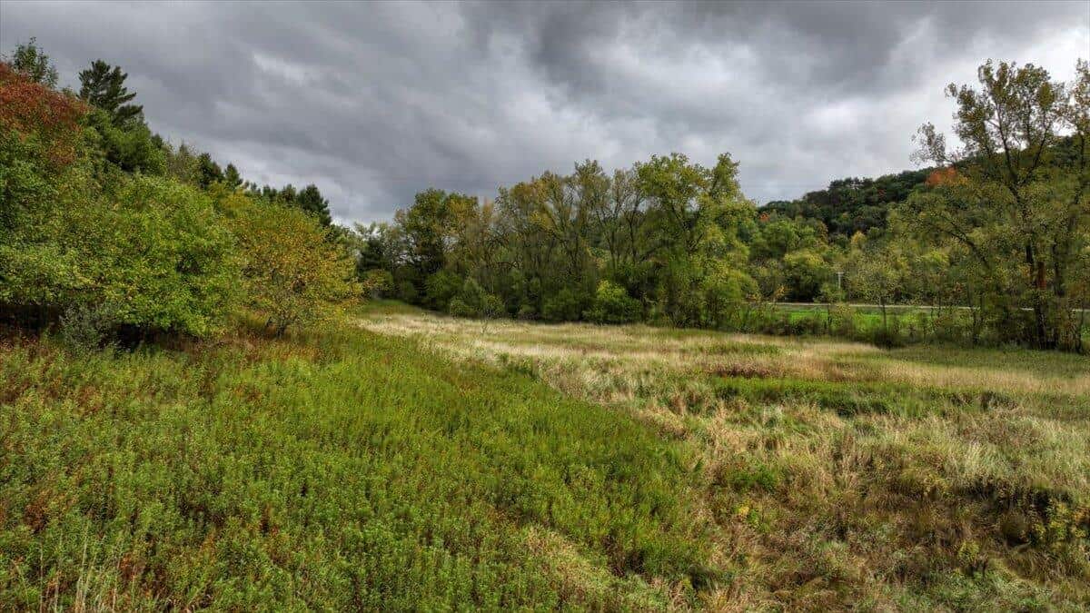 Monroe County Hunting Property 44+/- Acres