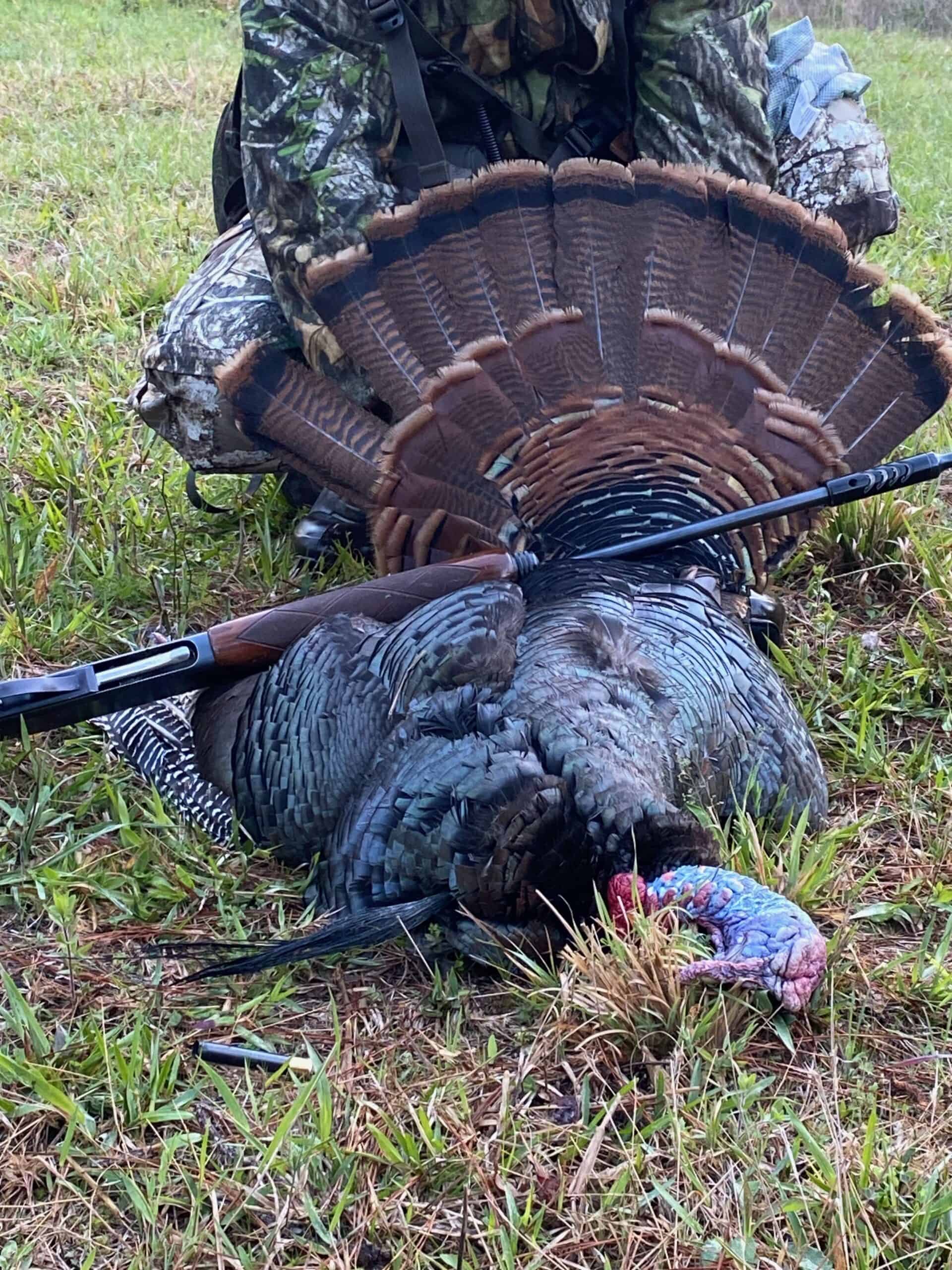 175 Acres Hunting and Timberland for Sale Franklin Co. MS