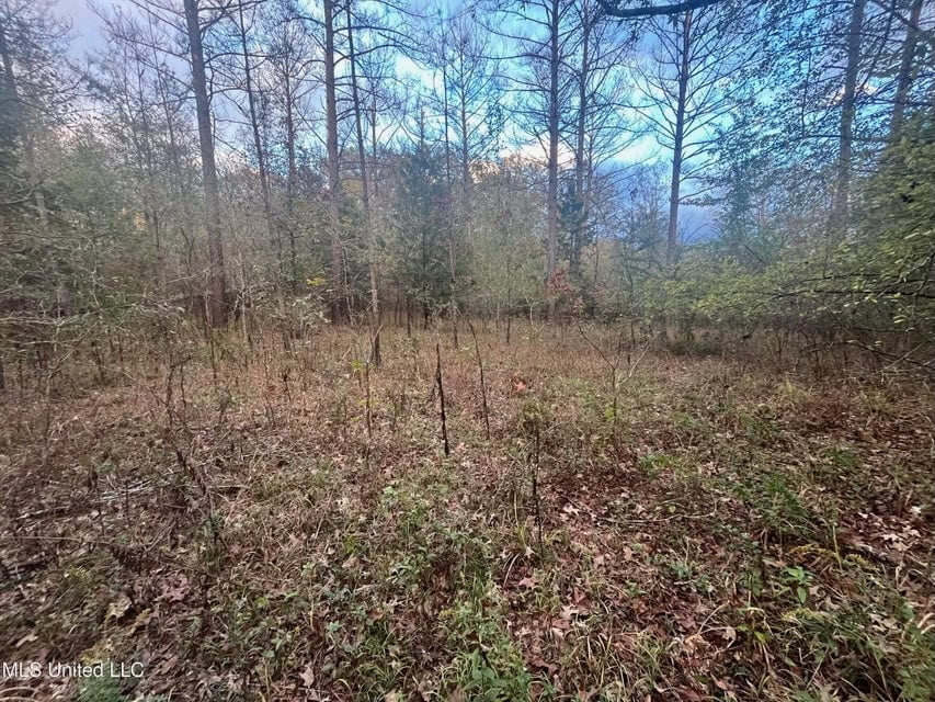 100 Acres of Prime Development or Country Homesite