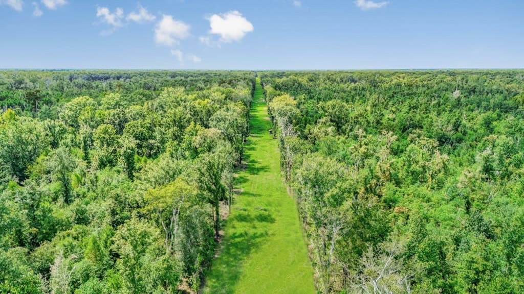 196 Acre Sportsman’s Paradise Pointe Coupee Parish, LA