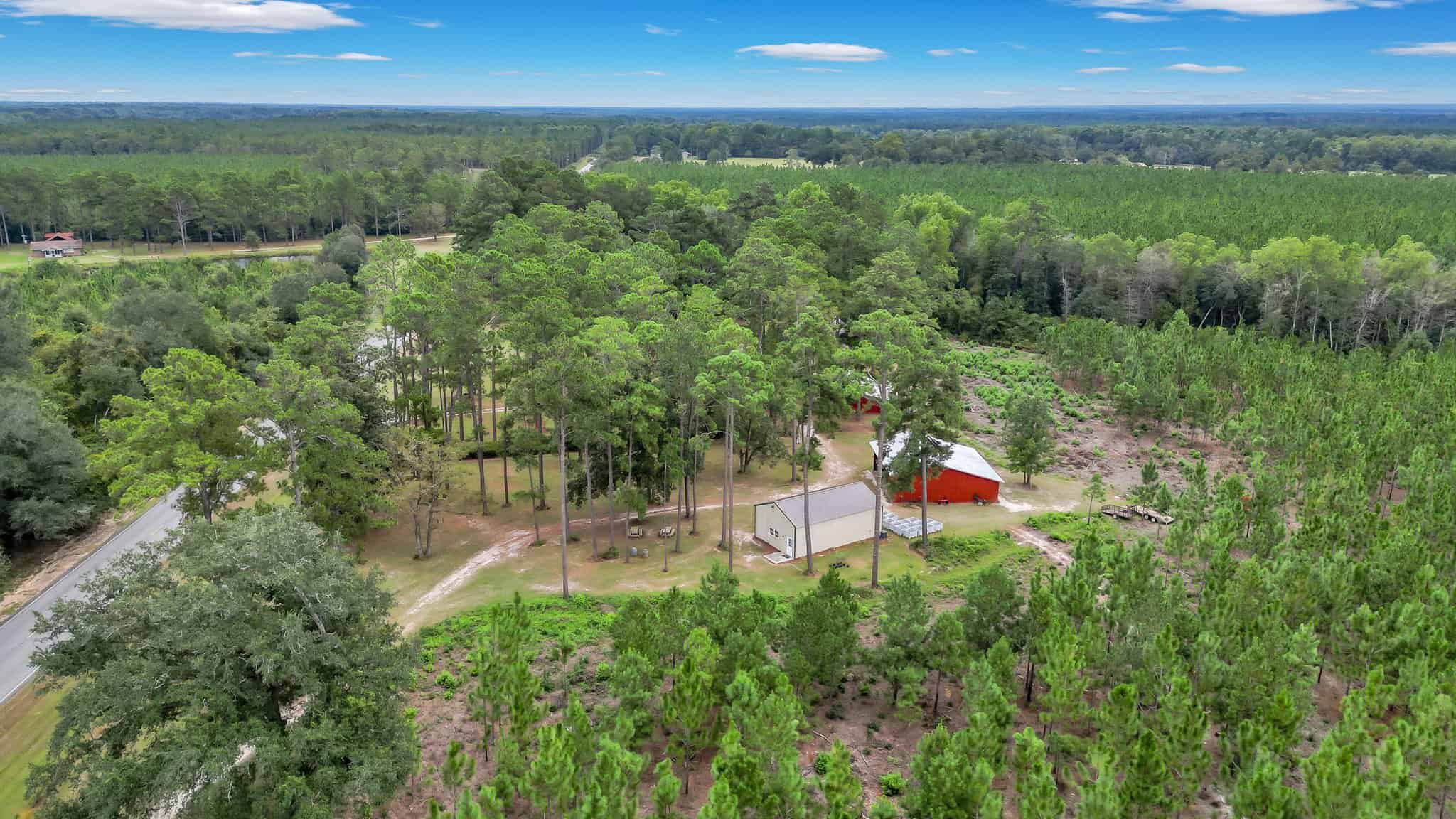 Woodpecker Trail Olive Farm for Sale
