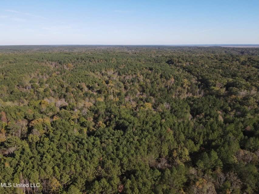 Carver Point Timber Tract in Grenada Co at Grenada Lake