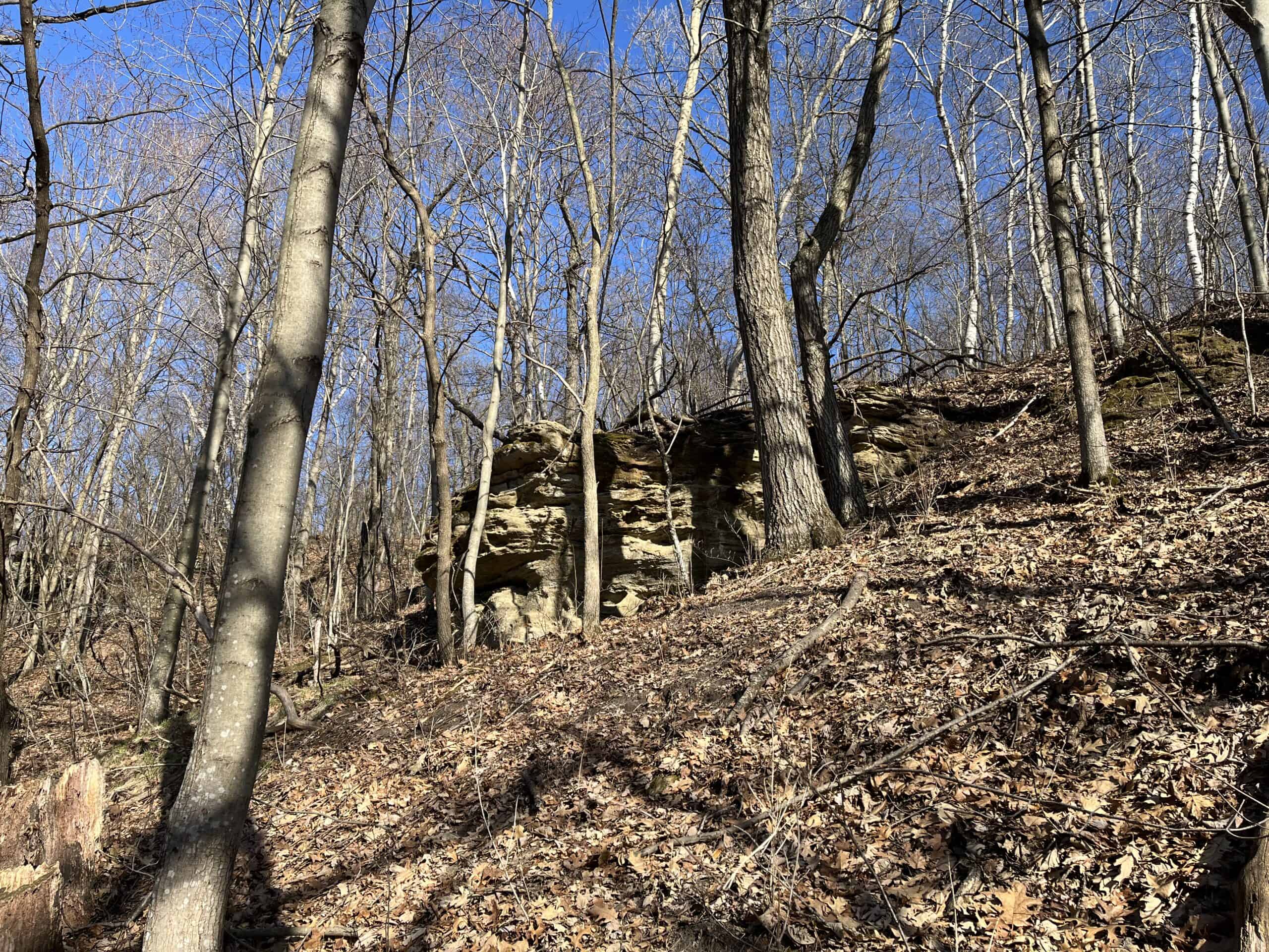 32 Acres with Endless Possibilities in Monroe County WI