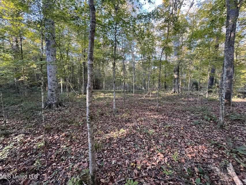Great Hunting Tract in Bolton, MS for Sale