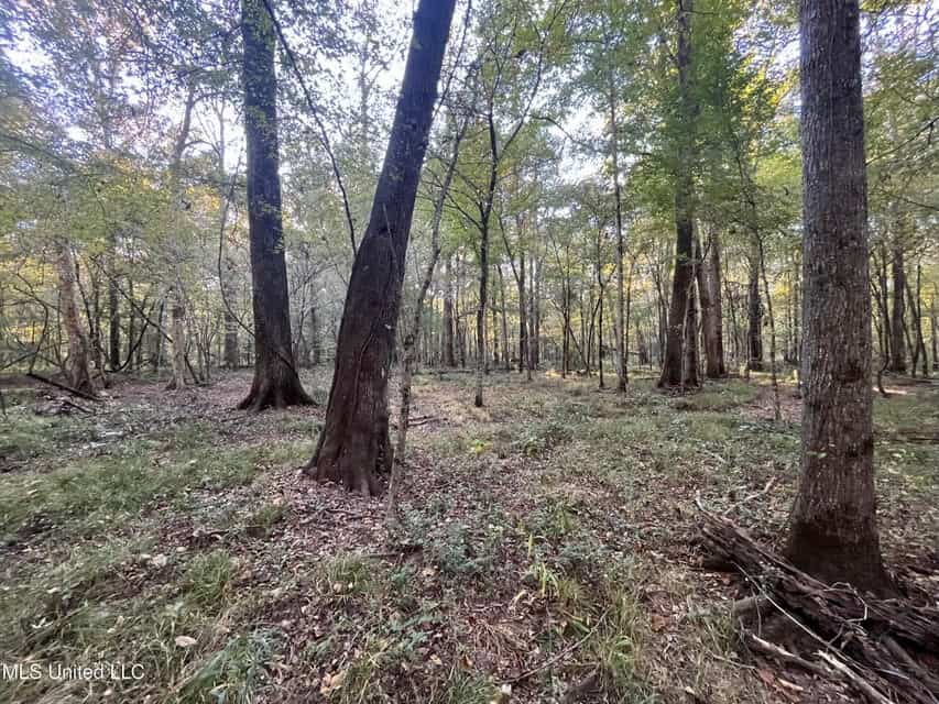 Great Hunting Tract in Bolton, MS for Sale
