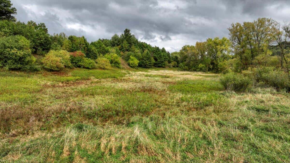 Monroe County Hunting Property 44+/- Acres