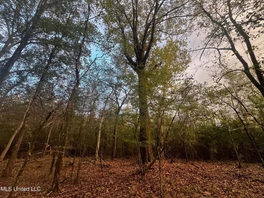 100 Acres of Prime Development or Country Homesite