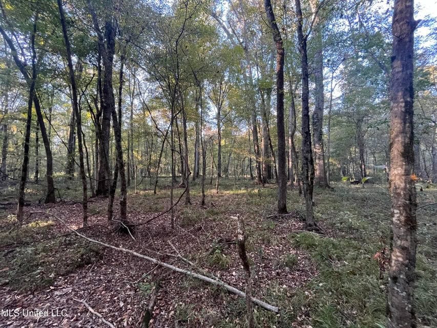 Great Hunting Tract in Bolton, MS for Sale