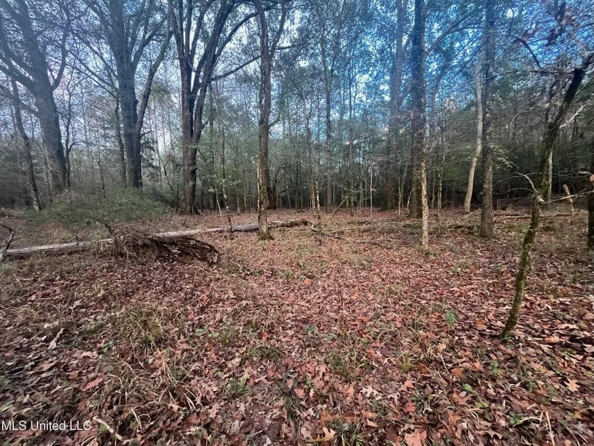 100 Acres of Prime Development or Country Homesite