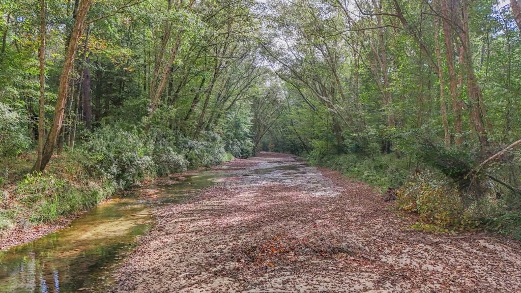 Legacy Property for Sale in Woodville, MS