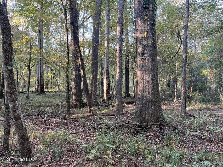 Great Hunting Tract in Bolton, MS for Sale