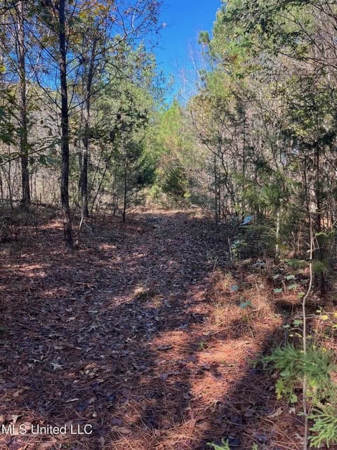 Carver Point Timber Tract in Grenada Co at Grenada Lake