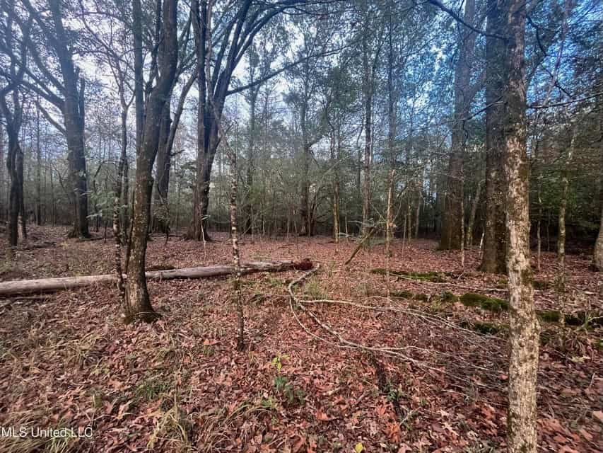 100 Acres of Prime Development or Country Homesite