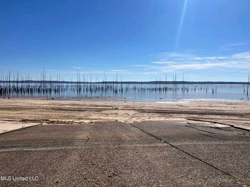 Carver Point Timber Tract in Grenada Co at Grenada Lake