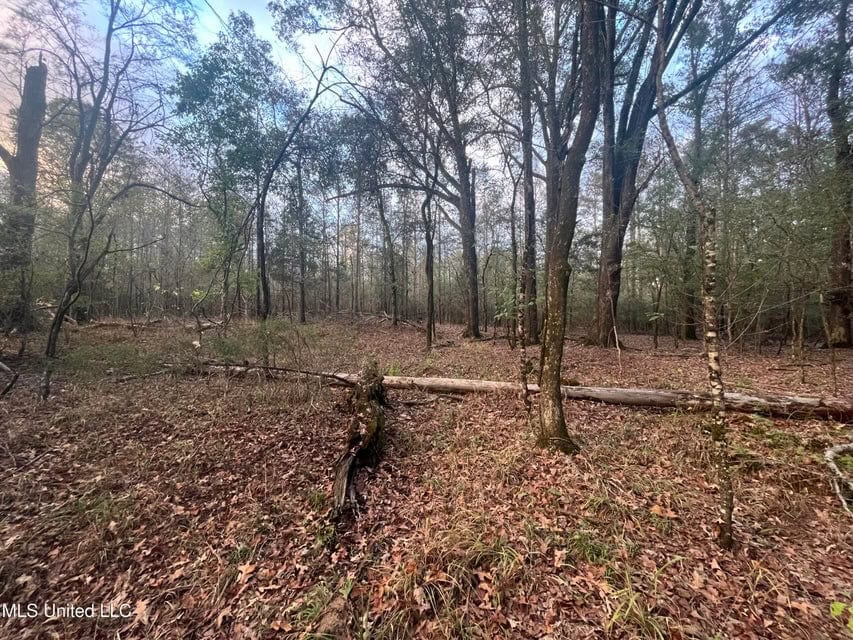 100 Acres of Prime Development or Country Homesite