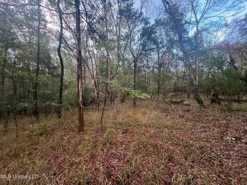 100 Acres of Prime Development or Country Homesite