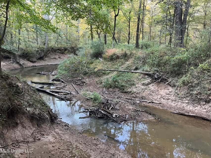 Great Hunting Tract in Bolton, MS for Sale