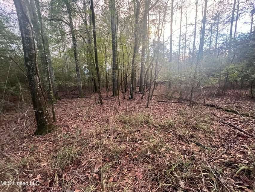 100 Acres of Prime Development or Country Homesite